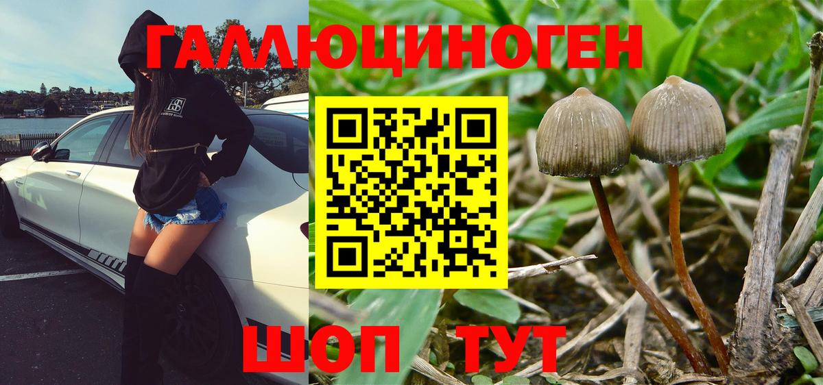 Галлюциногенные грибы мухоморы Дедовск