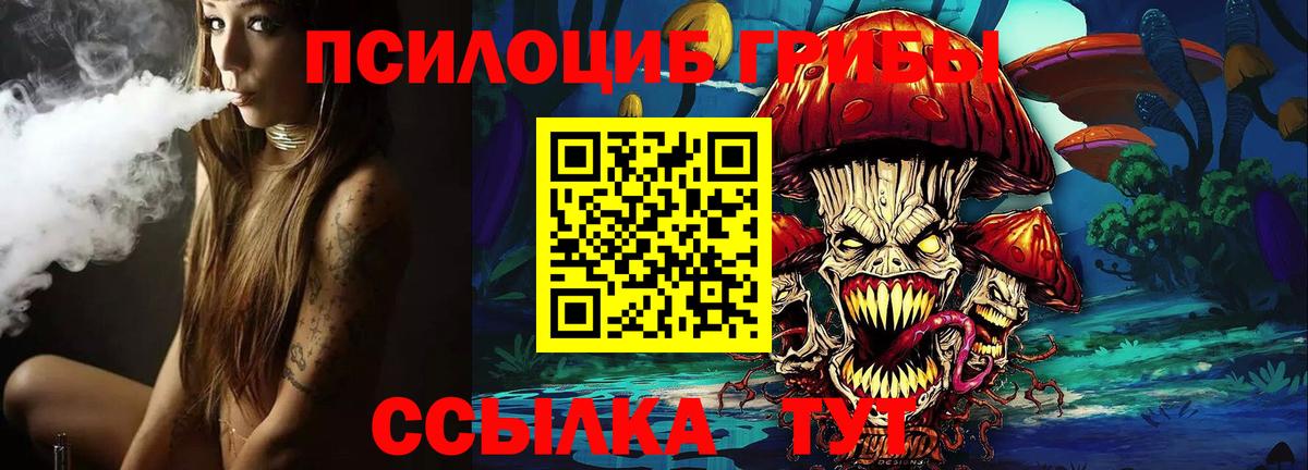 Галлюциногенные грибы Cubensis  Вход с VPN  как найти закладки  Дедовск 